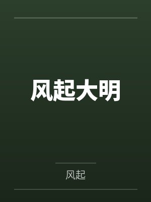 风起大明